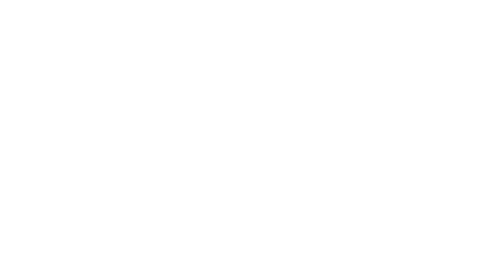 シンデレラファイト
